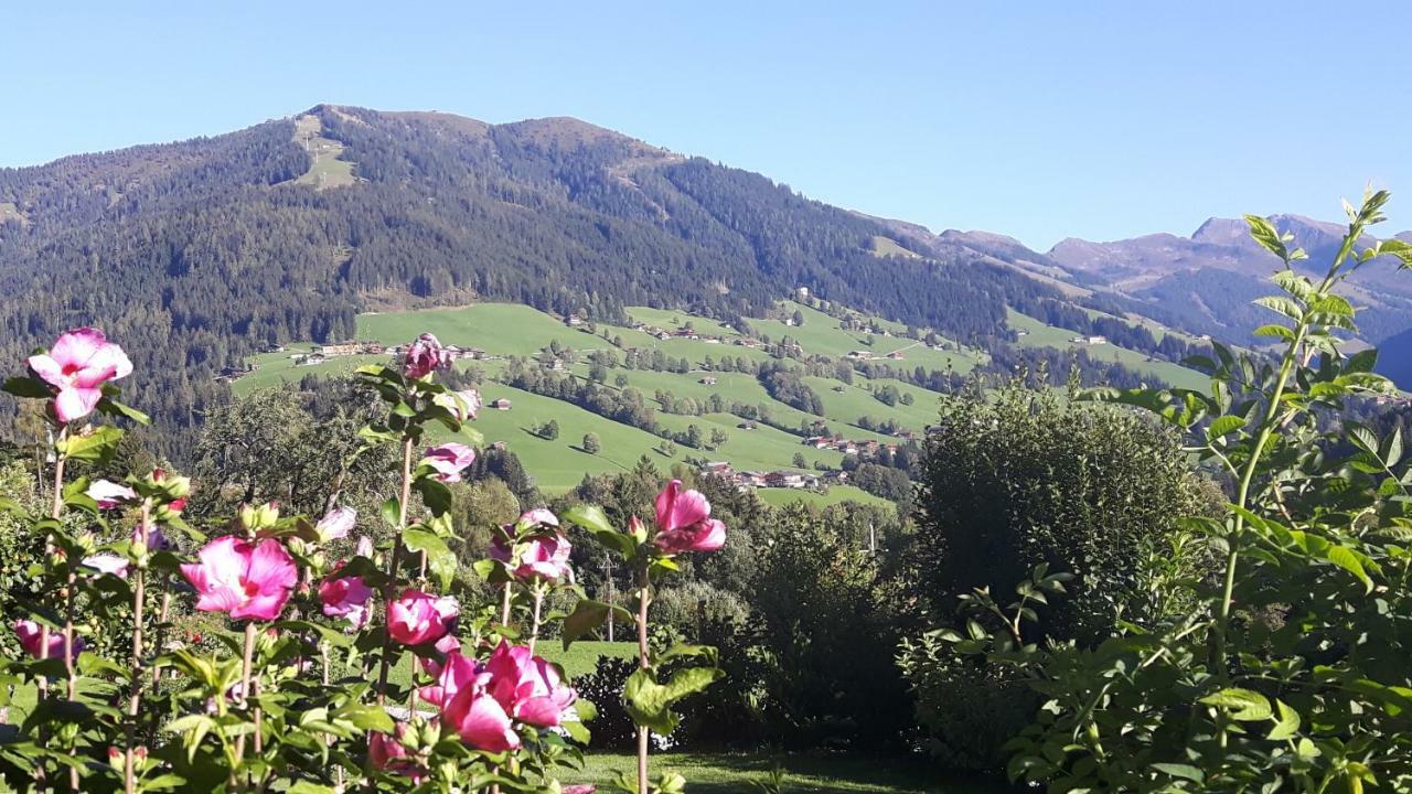 Haus Schmetterling Apartment Alpbach Exterior foto